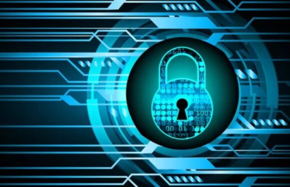 Lumea secretă a certificatelor SSL gratuite